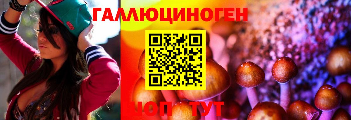 Галлюциногенные грибы мухоморы Фрязино